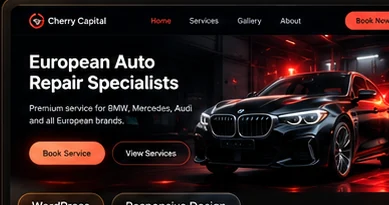Cherry Capital Auto Clinic project preview